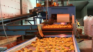 Die Sortier- und Verpackungsmaschinen verfügen über eine  SPS-Steuerung. Den Prozess kontrolliert ein Warenwirtschaftssystem, das die RV Bank entwickelt hat. Mit Stratus Avance ist es nun ausfallsicher. (Bild: Stratus)