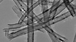 Dicke Kohlenstoff-Nanoröhren im Elektronenmikroskop  (Bild: Leonhardt, Leibniz-Institut Dresden)