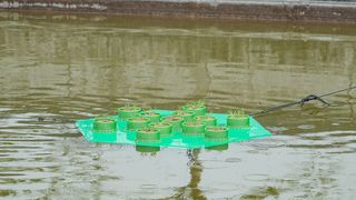 Die erste textile Schwimminsel leistet bereits im Regenrückhaltebecken des Hochschul-Campus ihre Dienste.  (Bild: Hochschule Hof)
