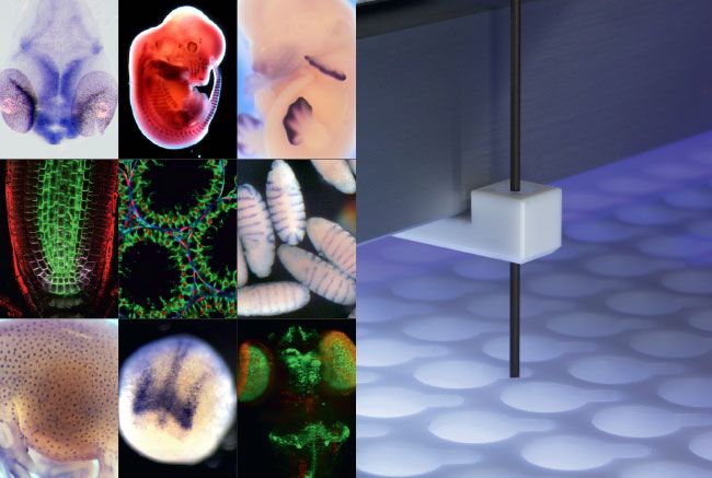 insitupro-webinar-thumb.jpg (CEM GmbH)