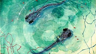 Künstlerische Illustration der Zebrafischlarven (Sarah Stednitz, Martin Vötsch / Max-Planck-Institut für biologische Kybernetik)