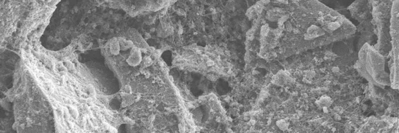 An image of the hybrid anode material taken by a scanning electron microscope.