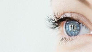 KI ist nicht neu: Der US-amerikanische Informatik-Professor John McCarthy prägte den Begriff “Artifical Intelligence” bereits 1955 und erforschte an der Universität Stanford die Grundlagen der Künstlichen Intelligenz.  (Bild: IFS/Liam Norris)