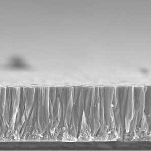 Mikroskop-Aufnahme der Solarzellenschicht.