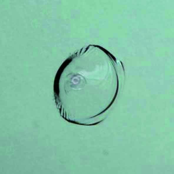  (Archiv: Vogel Business Media)