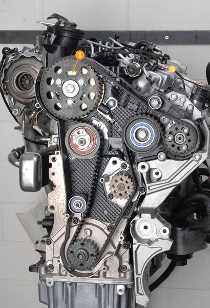 Bild 1: Motor auf OT Zylinder 1 stellen. Das Zahnsegment am Zahnriemenrad der Nockenwelle muss oben stehen. Markierung(en) beachten (Nr. 1). (Archiv: Vogel Business Media)