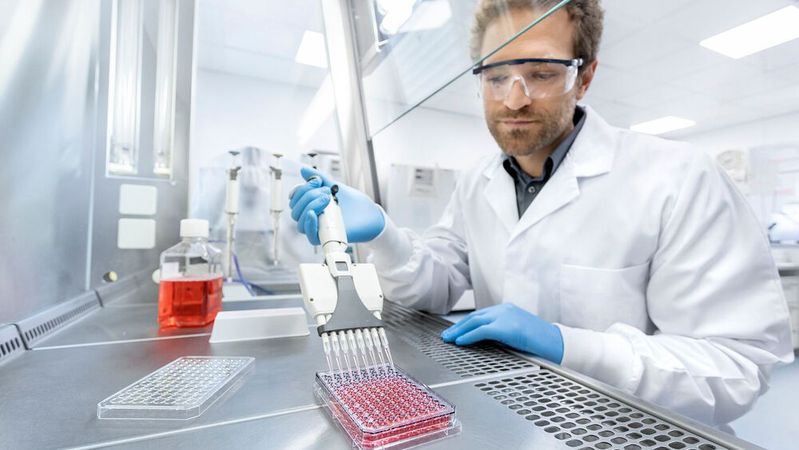 Der Kunststoff- und Medizintechnikhersteller Greiner Bio-One International lässt eingehende Aufträge seit kurzem mittels KI analysieren und relevante Daten automatisiert via Cloud in das ERP-System des Unternehmens übertragen.(Bild:  Greiner Bio-One)