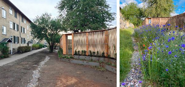 Ein Ausschnitt des fertiggestellten städtischen Greenscreens im Jahr 2019 (links) und im Jahr 2020. Man beachte das vertikale Glasfenster und das Wachstum heimischer Pflanzen zwischen dem Schirm und den Gebäuden.  (Bild: Comsol)