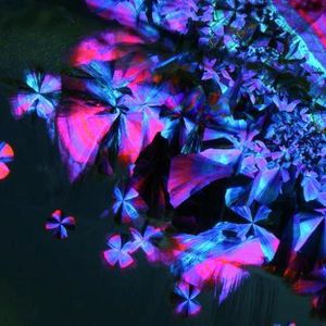 Stereomikroskopie: Edelstein-Einschlüsse (Bildergalerie) (Michael Hügi, Schweizerisches Gemmologisches Institut)