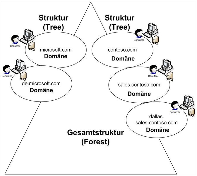 Ein Active Directory unterteilt sich in Domänen und Strukturen (Trees). Die übergeordnete Einheit ist die Active-Directory-Gesamtstruktur (Forest). (Joos / Microsoft)