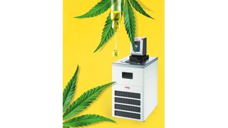  (©Irina - stock.adobe.com; Julabo [M]-Kübert)