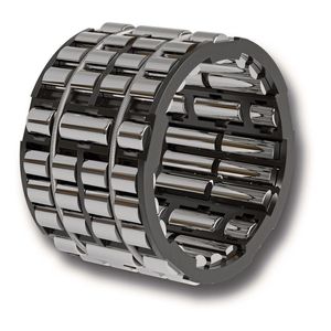 Breitspuriger Doppelreiher: Der neue E-Bike-Freilauf ER-DR von Ringspann.(Bild:  Ringspann)