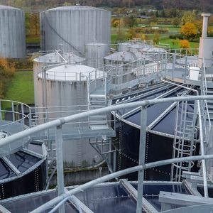 (DAS Environmental Expert)