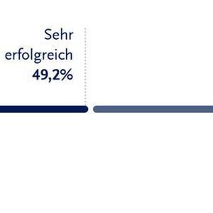 87,1 Prozent der Umfrageteilnehmer bewerten ihre zuletzt durchgeführten Projekte als erfolgreich.