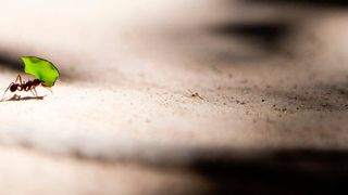 Die Vorbereitung der Supply Chain auf das Unvorhersehbare könnte zu einem der wichtigsten Trends in 2019 werden. (Bild: Photo by Vlad Tchompalov on Unsplash)