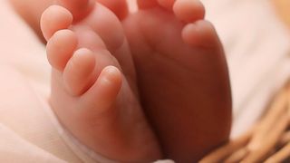 Faszination „Wunder des Lebens“ – wie wird aus einer einzelnen befruchteten Eizelle ein kleiner Mensch mit so unterschiedlichen Strukturen wie Haut, Leber oder Herz? (gemeinfrei)