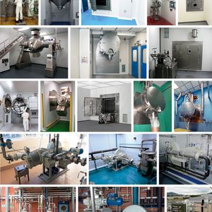 Die Vakuumpumpe Saurus 939(Bild:  Italvacuum)