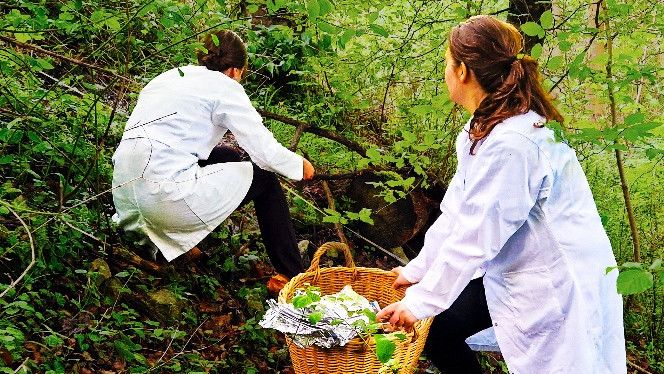 Am Rand einer Landstraße hat das Projektteam Bodenproben genommen, um sie auf Mikroplastik zu untersuchen.(Bild:  Prof. Dr. Sebastian Hein / Hochschule für Forstwirtschaft Rottenburg)