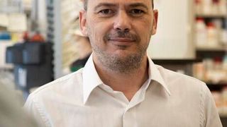 Luís Graça, group leader at the Instituto de MedicinaMolecular João Lobo Antunes (IMM) and Professor at the Faculty of Medicine of the University of Lisbon (Source: Gonçalo Ribeiro/ IMM)