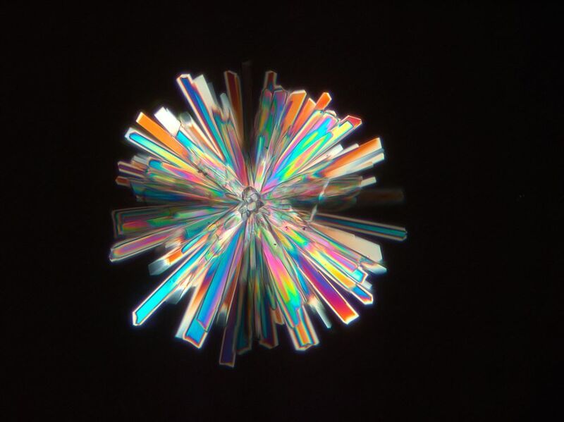 Das Bild zeigt Honigkristalle in polarisiertem Licht. Es wurde aufgenommen mit Zeiss Axio Imager.Z1. Einige Nahrungsmittelkomponenten sind doppelbrechend, einschließlich Stärke, Fette, Pflanzenzellwände, Muskelfasern sowie viele Geschmackszutaten. Mit Polarisationskontrast lassen sich solche kristallinen Materialien besonders gut abbilden. (Zeiss)