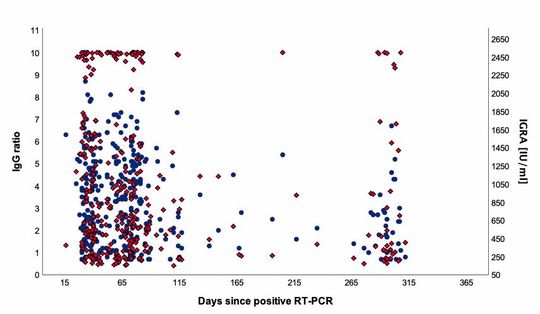 Die Immunität nach einer überstandenen Covid-19-Infektion hält mindestens 10 Monate an: Eine Kombination aus Zellimmunität und Antikörpern scheint dafür ursächlich zu sein.(Bild:  https://medrxiv.org/cgi/content/short/2021.06.24.21259218v1)