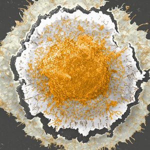 (Bild: Clemens Tscheka, Marius Hittinger, Pascal Schommer, Katrin Voos, Nicole Daum, Marc Schneider/c)