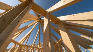 swisskrono-countrypixel-adobestock-254266232 (Quelle: Countrypixel/stock.adobe.com)