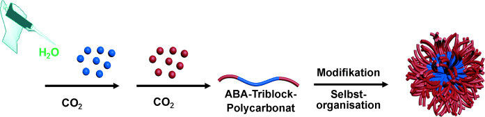 Zweistufige Ein-Topf-Synthese zur Herstellung von in Mizellen aggregierten Polycarbonat-Block-Copolymeren aus CO2 und Epoxiden (Bild: Wiley-VCH)