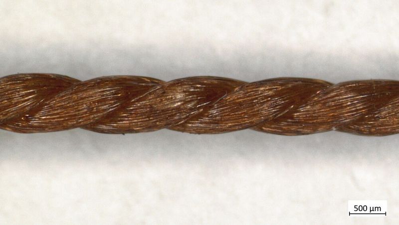 PA6.6-Garn mit Haftvermittler aus HMF (Makroskop-Aufnahme) (Bild: DITF)