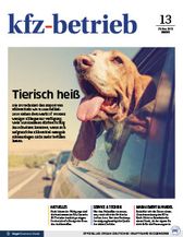 kfz-betrieb 13 / 2018 (vbm)