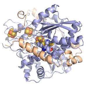 (Dr. James Birrell / MPI CEC)