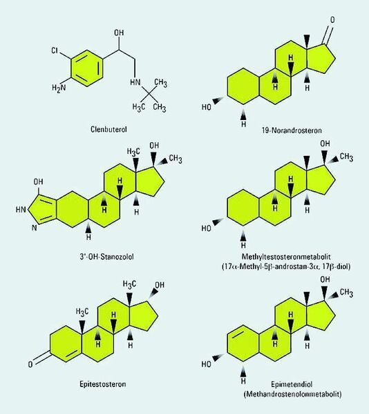 2 Chemische Strukturen von gängigen anabolen Substanzen. (Archiv: Vogel Business Media)