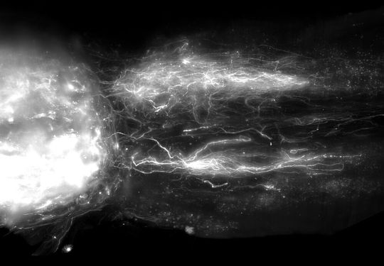 Whole spinal cord visualization of regenerating projections from the lower thoracic spinal cord that project to walking execution centers. Whole spinal cord visualization of regenerating projections from the lower thoracic spinal cord that project to walking execution centers.