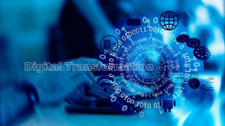 0106961485 (Bild: gemeinfrei)