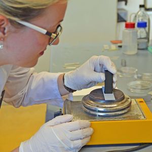 (Julia Siekmann/CAU)