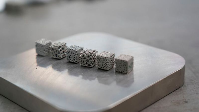 Mittels variierender Gitterstruktur sollen die Implantate individuell auf den jeweiligen Knochen angepasst werden.(Bild:  LZH)