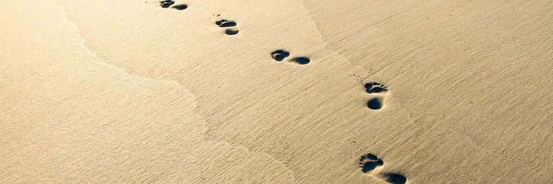 Die digitale Transformation soll die Innovationen beschleunigen, bringt aber auch viele neue Sicherheitsprobleme mit sich, für die es neue Lösungen zu finden gilt. Die digitale Transformation soll die Innovationen beschleunigen, bringt aber auch viele neue Sicherheitsprobleme mit sich, für die es neue Lösungen zu finden gilt.