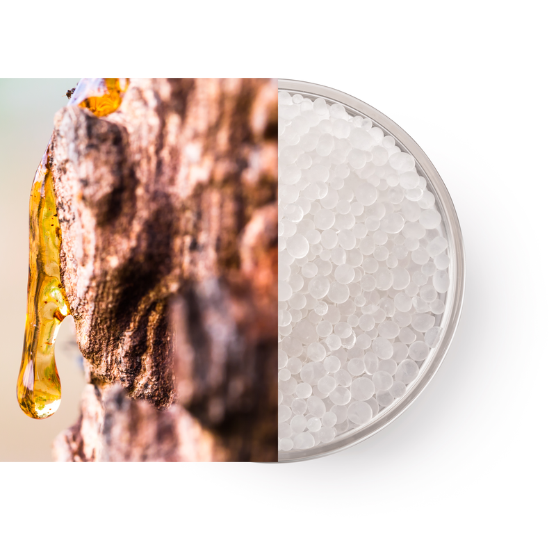 Les résines végétales modifiées chimiquement peuvent, en tant qu'additifs fonctionnels, améliorer les propriétés des bioplastiques.(Bild:  Synthomer)