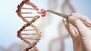 Genome Editing ist durch die CRISPR-Methode deutlich einfacher geworden (Symbolbild). (©vchalup - stock.adobe.com)