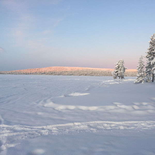 Immer eine Reise wert: die wunderschöne nordschwedische Landschaft.  (Bild: Axis)