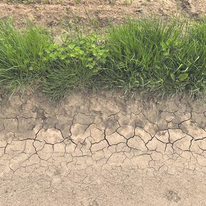 Auf Platz 1 gelandet ist ein Fachartikel von Prof. Mattheck und seinen Kollegen vom KIT. Darin geht es um die Frage, wie Risse in ausgetrocknetem Boden als Starterkerbe wirken, Kerbspannungen erzeugen und damit als Bruchmechanikbeispiel der Natur dienen.(Bild:  Mattheck/KIT)