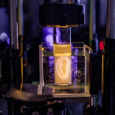 Holografische Projektion eines Modells eines menschlichen Ohrs.  (Bild: Adrien Buttier/EPFL)