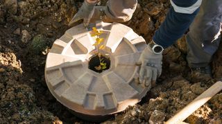 Die FHG will mit dem Projekt nicht nur klimaneutral werden, sondern auch der Wüstenbildung in Spanien entgegenwirken. (Faber Halbertsma)