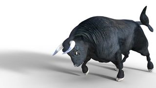 Sich als ITK-Dienstleister zu etablieren ist wie, einen Bullen zu reiten – ein Auf und Ab und nicht immer gleich erfolgreich. (gemeinfrei© Lutz Peter)