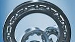 Kugellager Duralloy_vogel.jpg ()