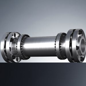 Stahllammellenkupplung Rigiflex HP-C.