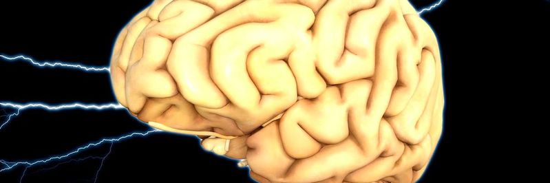 Das Potenzial des maschinellen Lernens kann nur realisiert werden, wenn alle Entwickler solche Anwendungen programmieren können.(Bild:   / CC0)