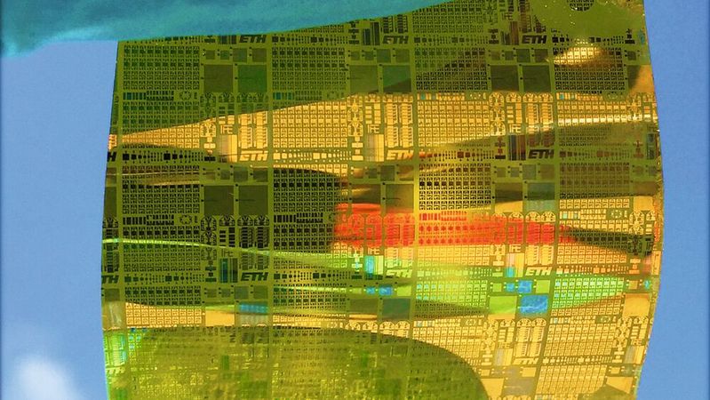 Biegsam, aber robust: Elektronische Schaltungen auf einer Folie aus Polyimid aus dem Empa-Labor bilden synaptische Transistoren.
