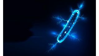Bakterien zum Stromspeichern? Forscher ergründen die Mechanismen der mikrobiellen Elektrosynthese (Symbolbild) (Bild: Inna - stock.adobe.com)