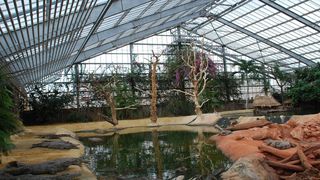 Das Haupttreibhaus der Krokodilfarm. (Bild: Crouzet)